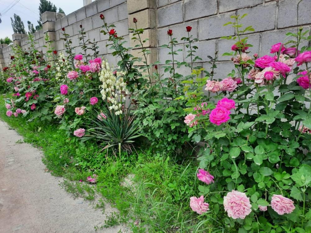 Homestay Jaisel Бішкек Екстер'єр фото